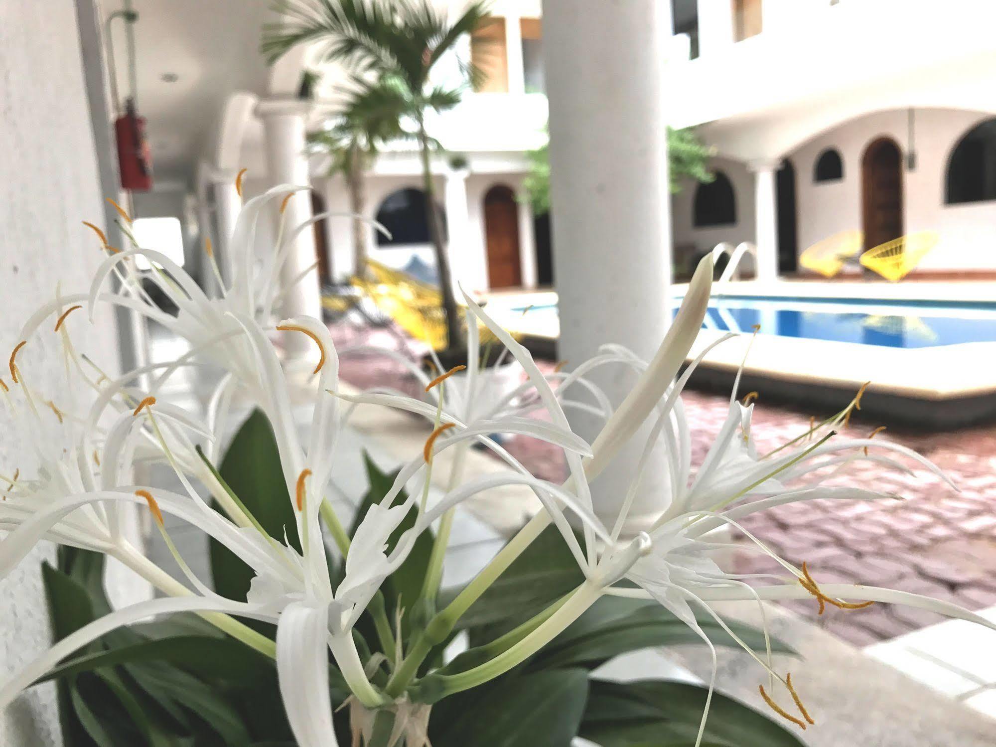 Hotel Villas San Ignacio Плая-дель-Кармен Экстерьер фото
